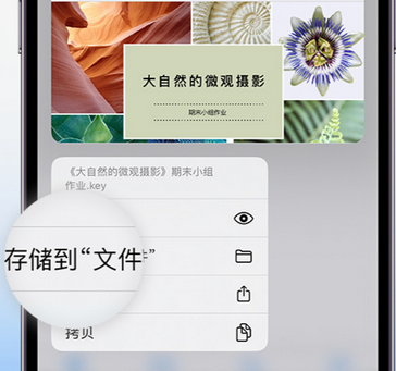 深泽apple维修中心分享iPhone文件应用中存储和找到下载文件