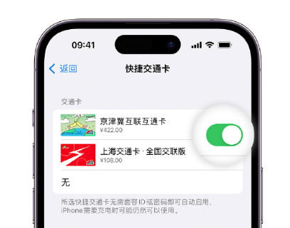 深泽apple维修点分享iPhone上更换Apple Pay快捷交通卡手绘卡面 