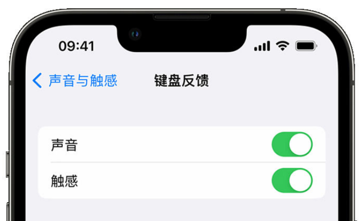 深泽苹果手机维修分享iPhone 14触感键盘使用方法 