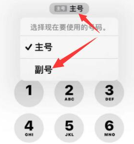 深泽苹果14维修店分享iPhone 14 Pro Max使用副卡打电话的方法 