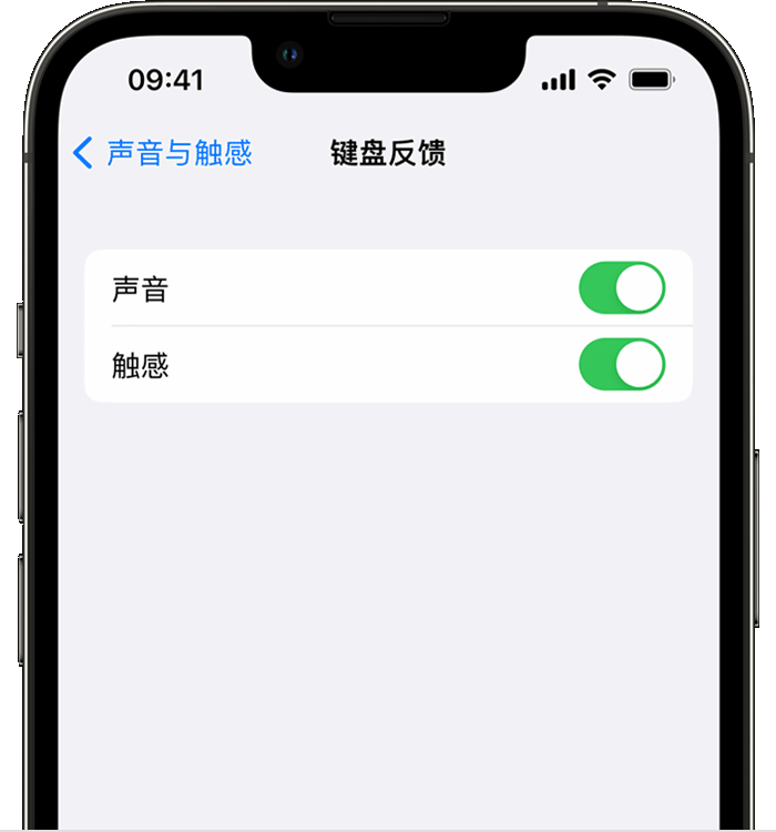 深泽苹果14维修分享iPhone 14 系列机型如何开启键盘声音或触感反馈 