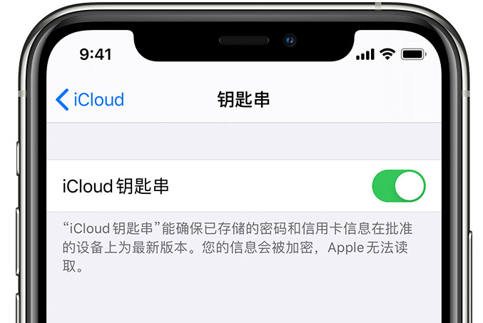 深泽苹果手机维修分享在 iPhone 上开启 iCloud 钥匙串之后会储存哪些信息 