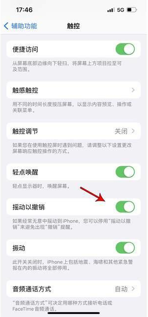 深泽苹果手机维修分享iPhone手机如何设置摇一摇删除文字 