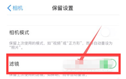 深泽苹果13维修分享iPhone13拍照有绿点是怎么回事 