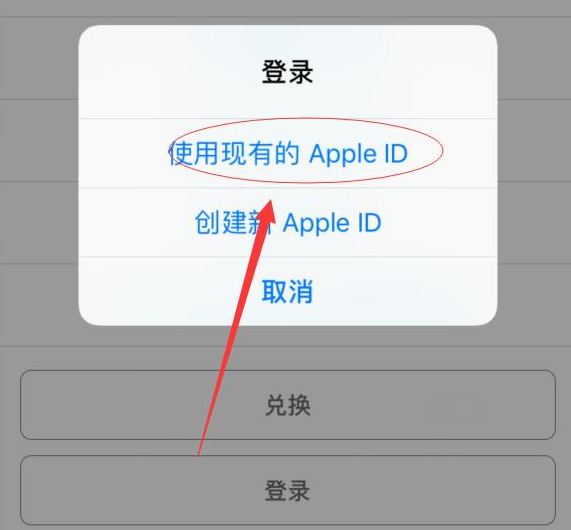 深泽苹果手机维修分享两台iPhone设备可以同时登录一个Apple ID吗 