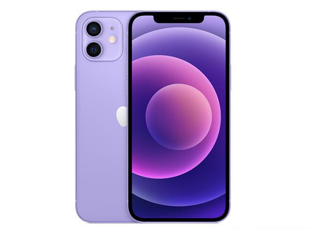 深泽苹果手机维修分享现阶段要不要入手紫色版iPhone12 
